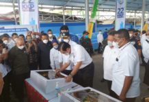 Luhut resmikan pasar ikan modern Fandoi di Biak Papua