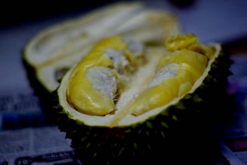 Festival Durian Borneo Kembali Digelar