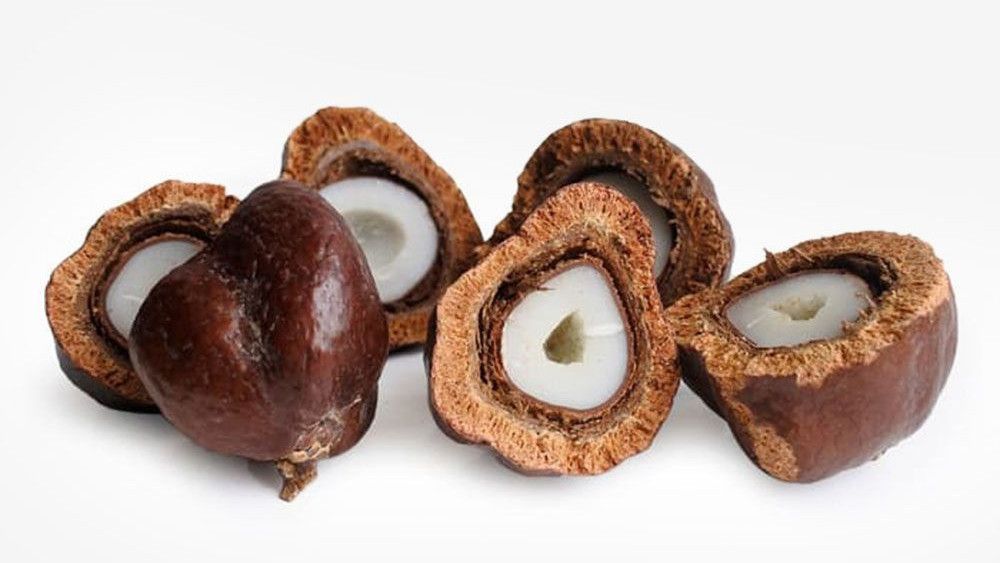 Efektifkah Buah Zuriat untuk Promil?