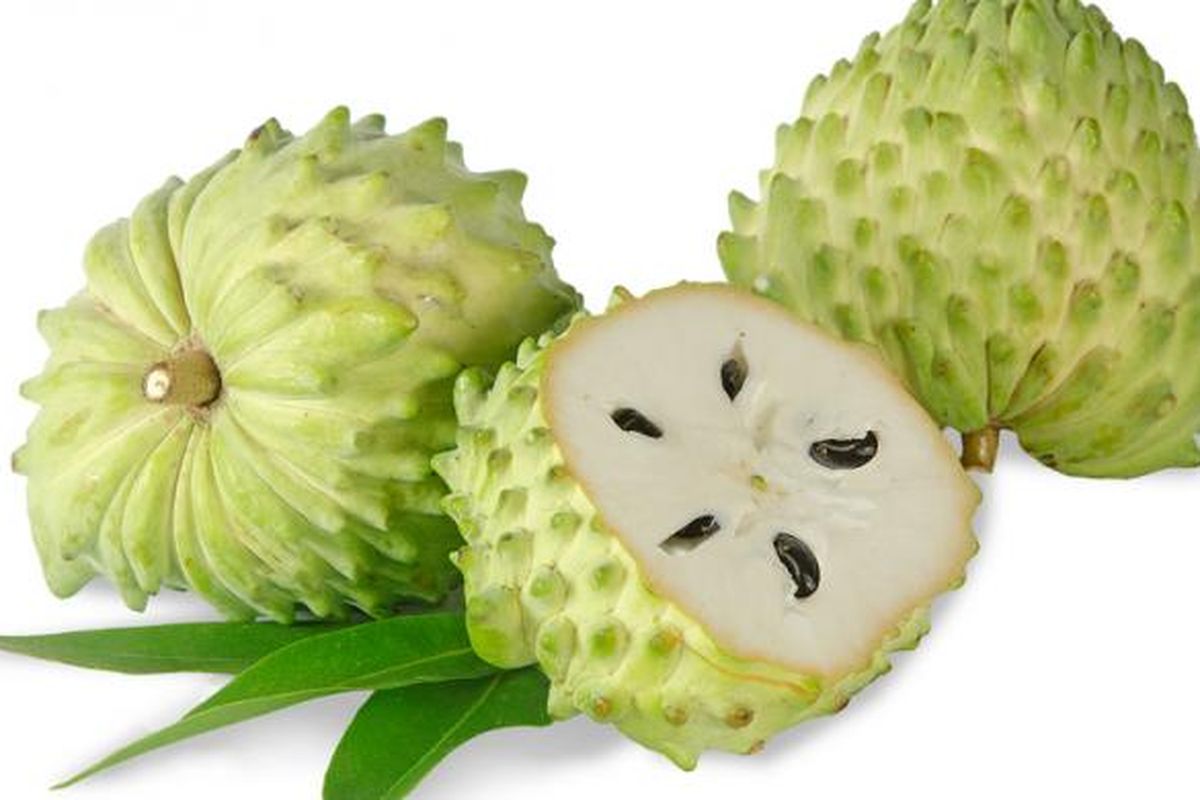 Mengenal Kandungan Nutrisi dan Manfaat Buah Sirsak Bagi Wanita