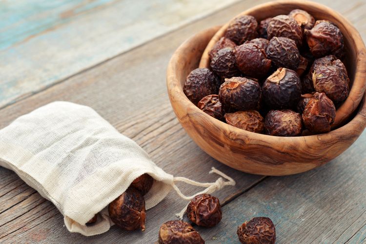 Buah Lerak Sebagai Alternatif Deterjen Dan Sabun