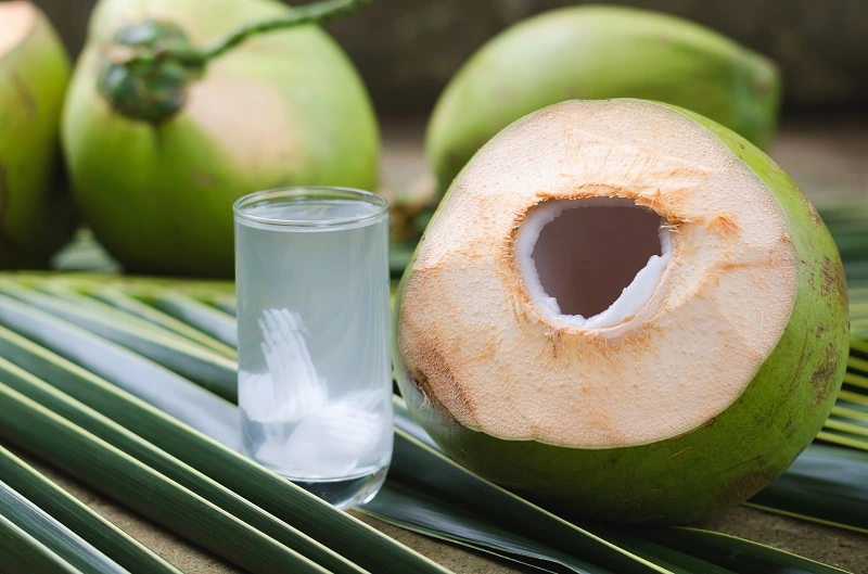 Air Kelapa Minuman Sehat Saat Berbuka Puasa