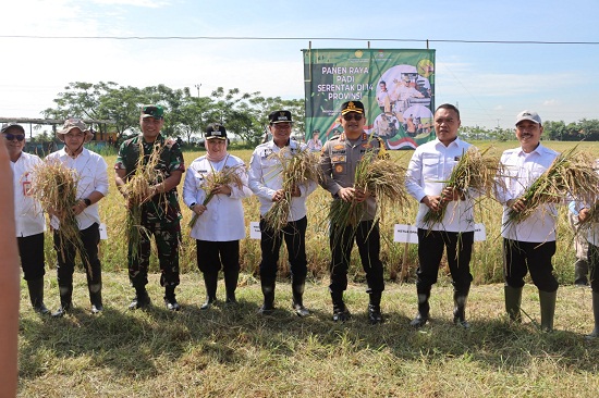 Bupati Tangerang Dan Kapolresta Tangerang Hadiri Kegiatan Vidcon Panen Raya Padi Serentak Bersama Presiden RI