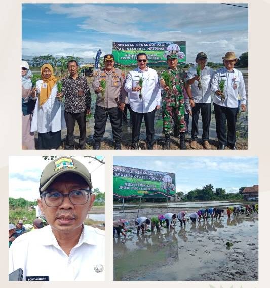 Gerakan Menanam Padi Serentak, Walikota Serang Siapkan Program-program Untuk Petani.