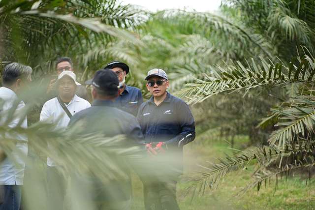 Kejar ROA 10 Persen, PalmCo Genjot Efisiensi dan Inovasi Bisnis