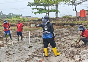 Tamping Kebun Rutan Tamiang Layang Rutin Lakukan Perawatan dan Penanaman Bibit di Area SAE