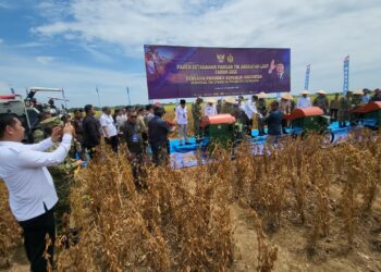 Panen Raya Kedelai STII Presiden RI bersama Menteri Pertahanan berlangsung di Lampung