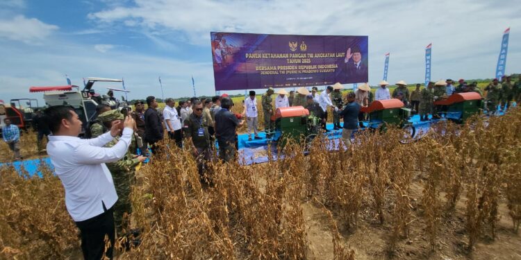 Panen Raya Kedelai STII Presiden RI bersama Menteri Pertahanan berlangsung di Lampung