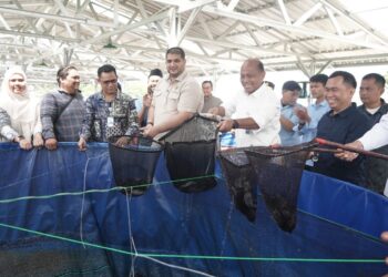 KKP Dorong Budidaya Tematik Bioflok sebagai Penggerak Ketahanan Pangan