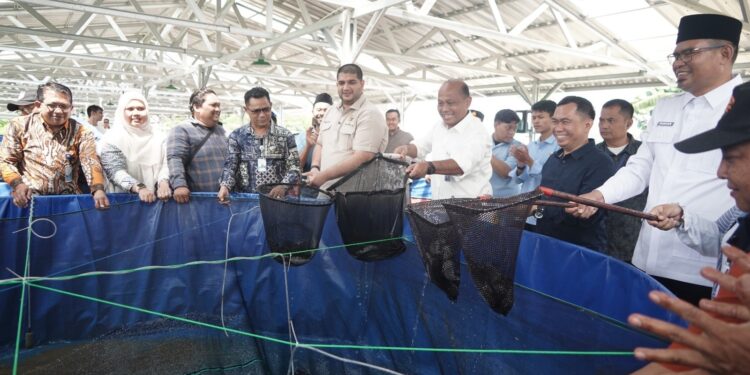 KKP Dorong Budidaya Tematik Bioflok sebagai Penggerak Ketahanan Pangan
