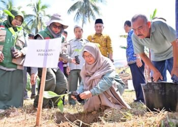 Dukung Program MBG, Payakumbuh Perkuat Produksi Buah Lokal Lewat Penanaman Pisang