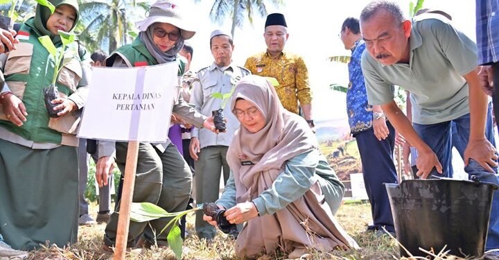 Dukung Program MBG, Payakumbuh Perkuat Produksi Buah Lokal Lewat Penanaman Pisang