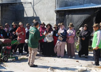 Forest Youthverse Dorong Kolaborasi Genries Lewat FOLU Goes to School di Banda Aceh