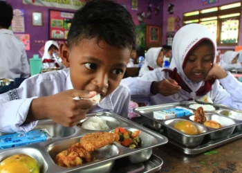 Komitmen Pemerintah Perkuat Evaluasi Berkala demi Optimalisasi MBG di Papua