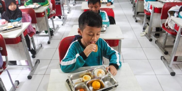 Pemerintah Siapkan Evaluasi MBG, Penyaluran ke Daerah 3T Akan Lebih Tepat Sasaran