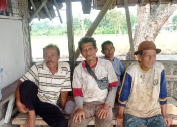 Petani Lokal Lebak Siap Pasok Sayuran untuk Program Makan Bergizi Gratis