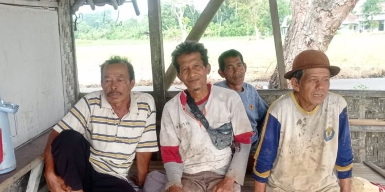 Petani Lokal Lebak Siap Pasok Sayuran untuk Program Makan Bergizi Gratis