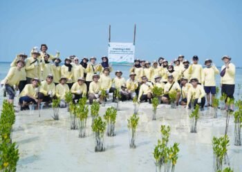 Bukan Sekadar Migas, PHI Turun Langsung Rehabilitasi Ekosistem Pesisir di Pulau Pari