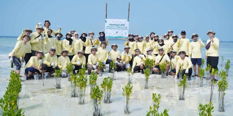 Bukan Sekadar Migas, PHI Turun Langsung Rehabilitasi Ekosistem Pesisir di Pulau Pari