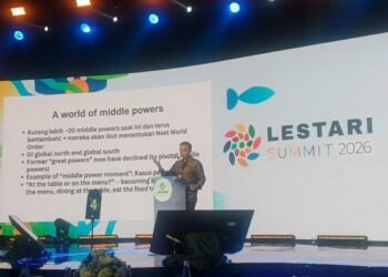 Soal Penanganan Perubahan Iklim, Dino Patti Djalal Minta Komitmen Pemerintah Selevel Program Makan Bergizi Gratis