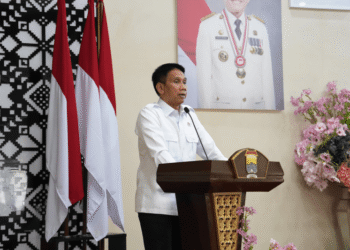 Wamendagri Wiyagus Dorong Kolaborasi Lintas Sektor Percepat Eliminasi TB di Sumatera Selatan