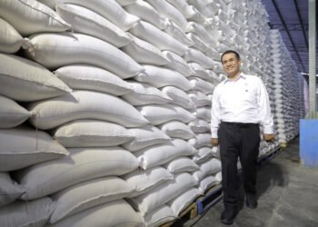 Produksi Beras RI Diproyeksikan Naik, BPS Catat Potensi Capai 28,71 Juta Ton