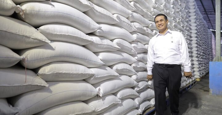 Produksi Beras RI Diproyeksikan Naik, BPS Catat Potensi Capai 28,71 Juta Ton