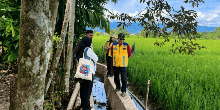 Musim Tanam Tiba, Nagan Raya Manfaatkan TKD untuk Rehabilitasi Sawah Terdampak