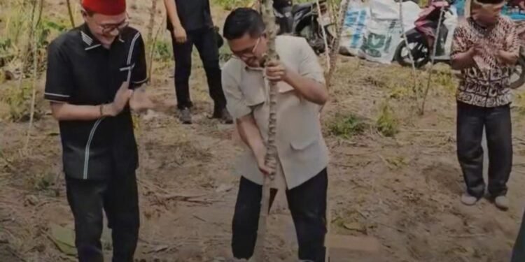 Panen Raya Singkong di Lebak, Andra Soni Dorong Pangan Lokal Jadi Penggerak Ekonomi