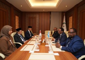Indonesia desak langkah nyata OKI dalam menghadapi Israel