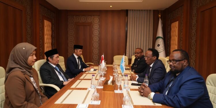 Indonesia desak langkah nyata OKI dalam menghadapi Israel