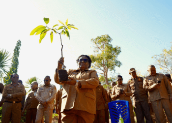 Dukung Gerakan Indonesia ASRI, Wamendagri Ribka Haluk Ajak Pemda dan Masyarakat NTT Tanam Pohon