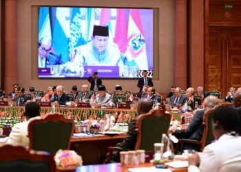 Presiden Prabowo Dorong BRICS Ubah Kerentanan Menjadi Kekuatan untuk Pertumbuhan Global