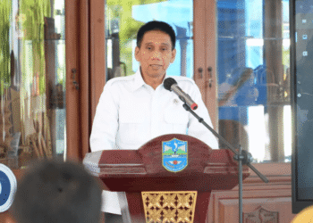 Wamendagri Wiyagus Dorong Kolaborasi Lintas Sektor Wujudkan Kota Banjar Bebas TB