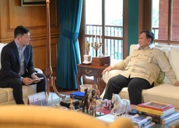 Presiden Prabowo Terima Dubes AS untuk ASEAN, Perkuat Kemitraan Strategis dan Stabilitas Kawasan
