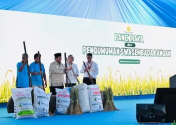 Swasembada Beras, Upaya Pemerintah Perkuat Fondasi Ketahanan Pangan Nasional
